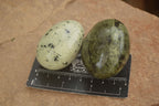 Polished Spotted Leopard Stone Gallets  x 12 From Zimbabwe - Toprock Gemstones and Minerals 