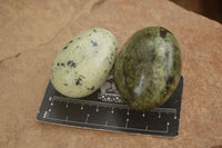 Polished Spotted Leopard Stone Gallets  x 12 From Zimbabwe - Toprock Gemstones and Minerals 