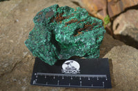 Natural Chatoyant Silky Malachite Specimens  x 7 From Kasompe, Congo - Toprock Gemstones and Minerals 