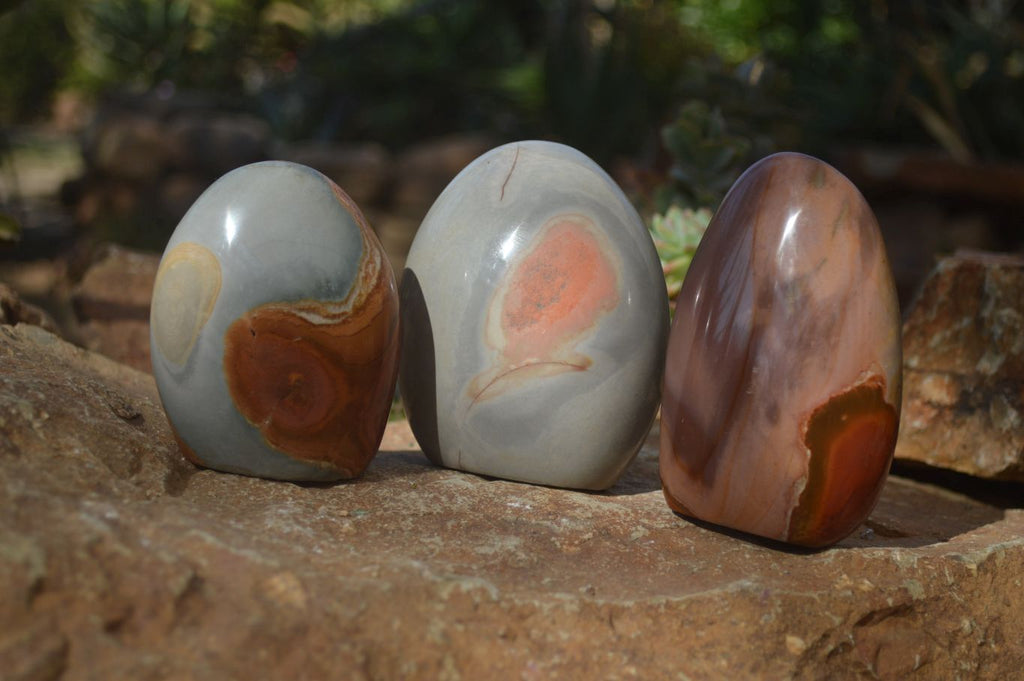 Polished Polychrome Jasper Standing Free Forms  x 3 From Madagascar - Toprock Gemstones and Minerals 