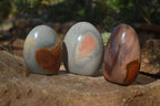 Polished Polychrome Jasper Standing Free Forms  x 3 From Madagascar - Toprock Gemstones and Minerals 