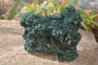 Natural Silky Malachite Specimen  x 1 From Kasompe, Congo - Toprock Gemstones and Minerals 