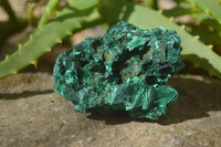 Natural Chatoyant Silky Malachite Specimens  x 7 From Kasompe, Congo - Toprock Gemstones and Minerals 