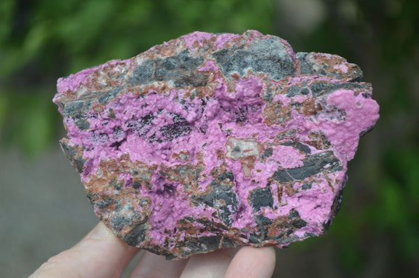 Natural Large Pink Salrose Cobaltion Dolomite Specimens  x 4 From Kakanda, Congo - Toprock Gemstones and Minerals 