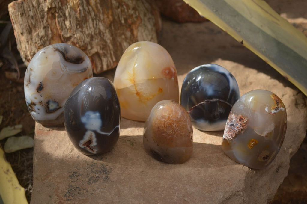 Polished Mixed Agate Standing Free Forms  x 6 From Madagascar - Toprock Gemstones and Minerals 