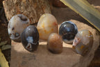 Polished Mixed Agate Standing Free Forms  x 6 From Madagascar - Toprock Gemstones and Minerals 
