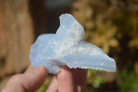Natural Etched Blue Chalcedony Specimens  x 6 From Nsanje, Malawi - Toprock Gemstones and Minerals 