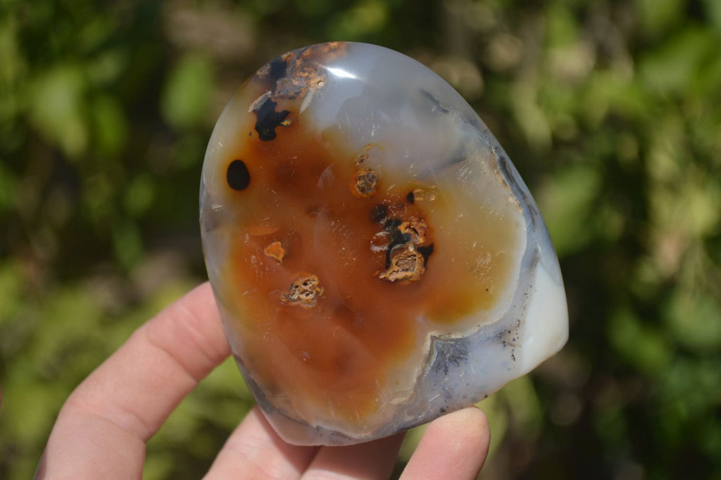 Polished Mixed Agate Standing Free Forms x 6 From West Coast, Madagascar - Toprock Gemstones and Minerals 