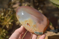 Polished Polychrome Jasper Standing Free Forms  x 3 From Madagascar - Toprock Gemstones and Minerals 