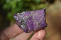 Natural Metallic Purpurite Cobbed Specimens x 12 From Erongo, Namibia - Toprock Gemstones and Minerals 