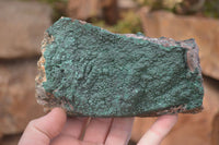 Natural Micro Botryoidal Crystalline Malachite Specimen x 1 From Congo - Toprock Gemstones and Minerals 