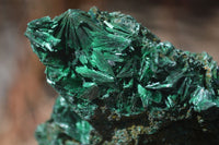 Natural Chatoyant Silky Malachite Specimens  x 7 From Kasompe, Congo - Toprock Gemstones and Minerals 