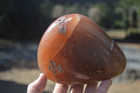 Polished Extra Large Strawberry Agate Free Forms  x 2 From KZN, South Africa - Toprock Gemstones and Minerals 