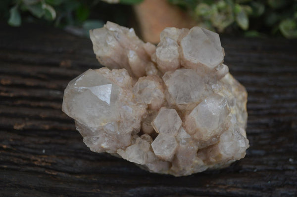 Natural Cascading White Phantom Smokey Quartz Cluster  x 1 From Congo - Toprock Gemstones and Minerals 