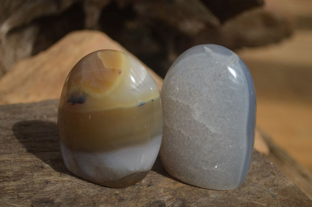 Polished Mixed Agate Standing Free Forms x 6 From West Coast, Madagascar - Toprock Gemstones and Minerals 