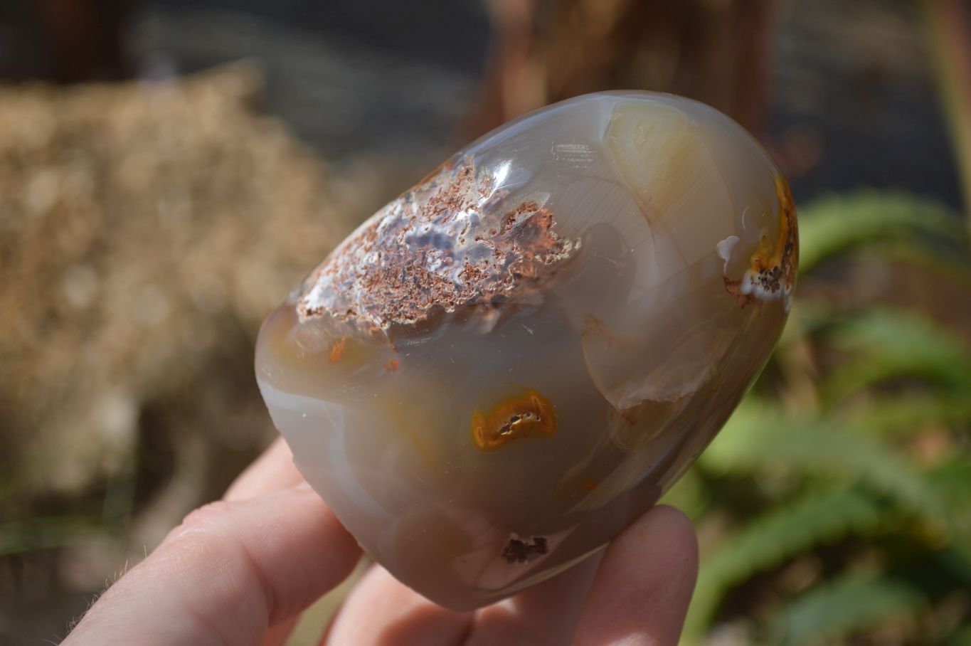 Polished Mixed Agate Standing Free Forms  x 6 From Madagascar - Toprock Gemstones and Minerals 