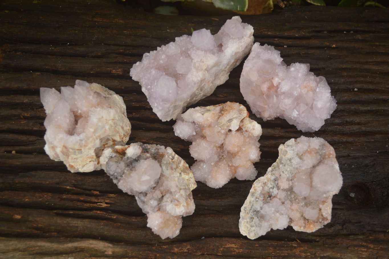 Natural Spirit Amethyst Quartz Clusters x 6 From Boekenhouthoek, South Africa - Toprock Gemstones and Minerals 