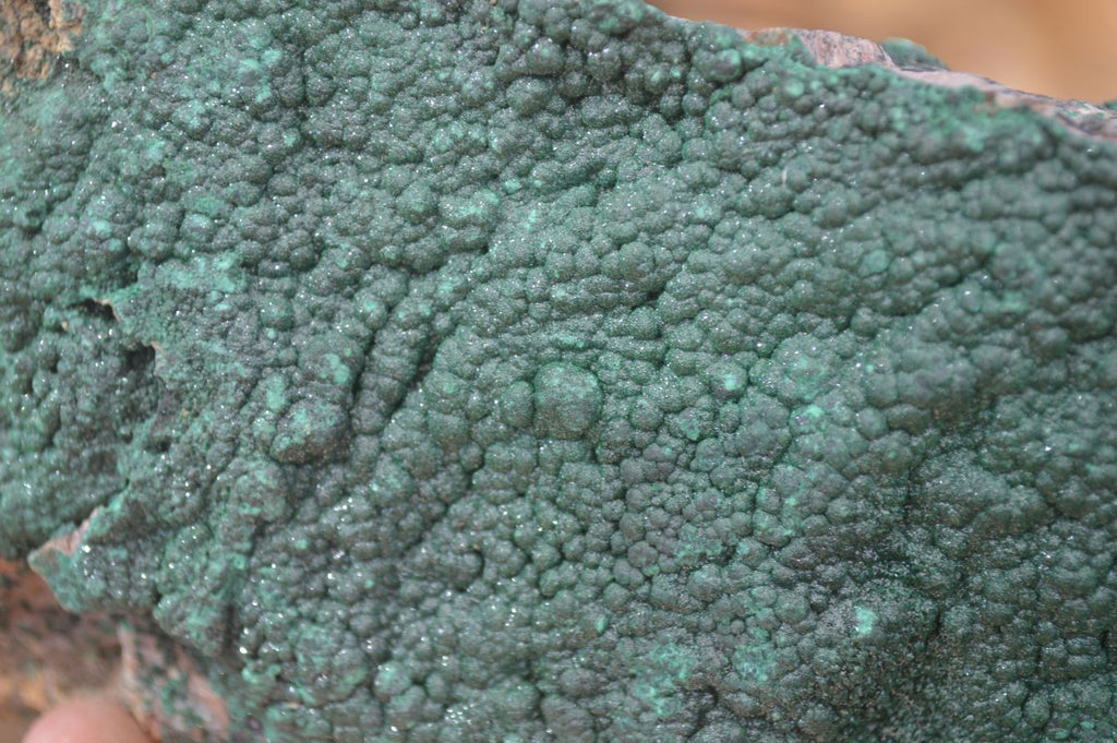 Natural Micro Botryoidal Crystalline Malachite Specimen x 1 From Congo - Toprock Gemstones and Minerals 