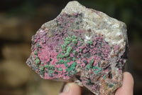 Natural Pink Salrose Cobaltion Dolomite Specimens x 6 From Kakanda, Congo - Toprock Gemstones and Minerals 