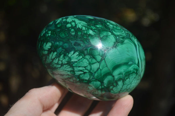 Polished Stunning Flower Banded Malachite Eggs  x 2 From Congo - Toprock Gemstones and Minerals 
