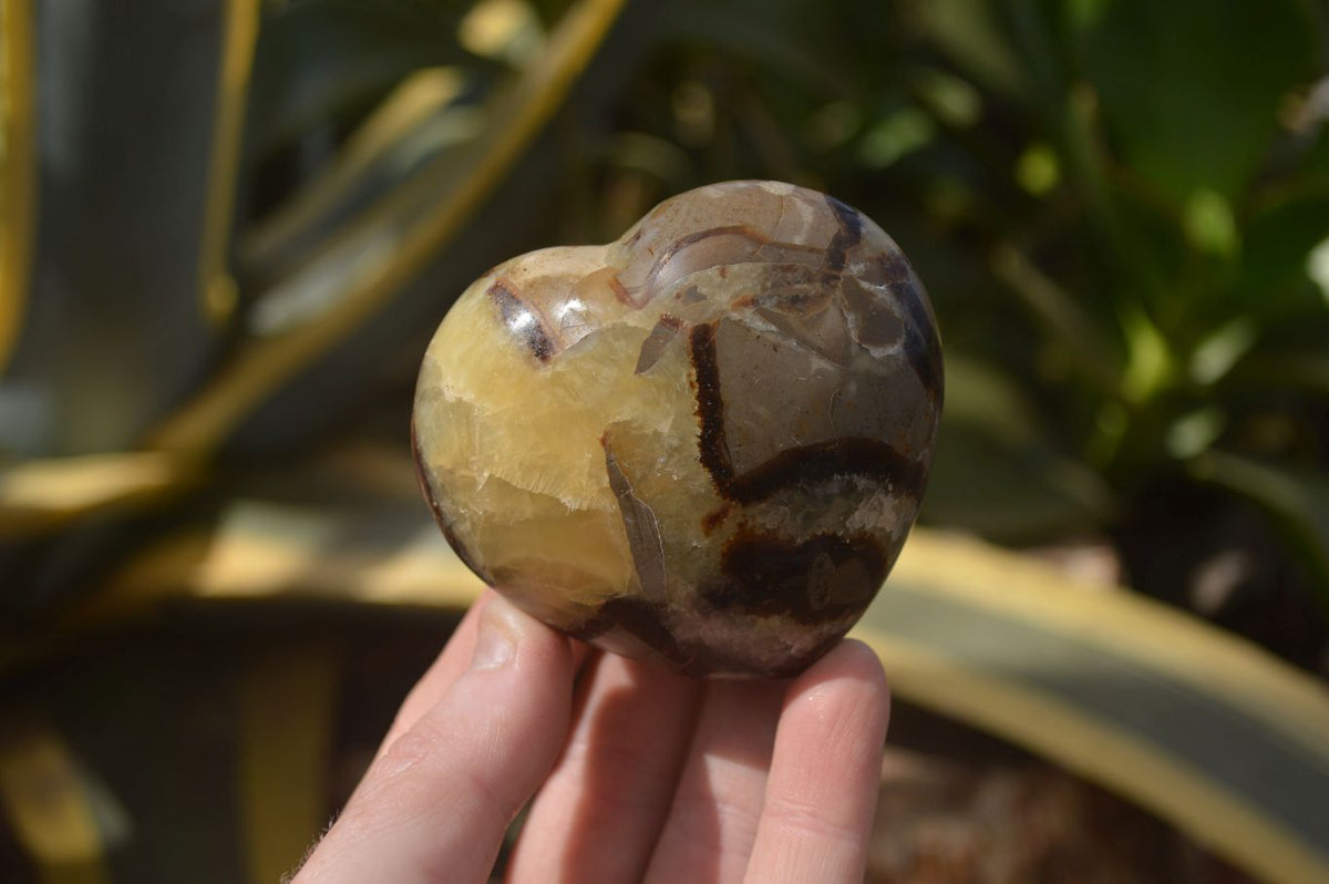 Polished Septerye (Calcite & Aragonite) Hearts x 6 From Mahajanga, Madagascar - Toprock Gemstones and Minerals 