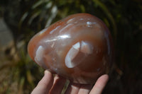 Polished Extra Large Strawberry Agate Free Forms  x 2 From KZN, South Africa - Toprock Gemstones and Minerals 