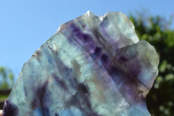 Polished Watermelon Fluorite Slices x 3 From Uis, Namibia - TopRock
