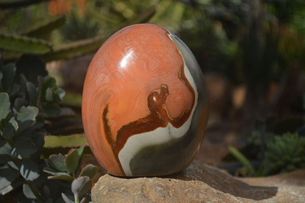 Polished Polychrome Jasper Standing Free Form  x 1 From Mahajanga, Madagascar - Toprock Gemstones and Minerals 