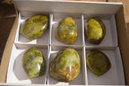 Polished  Green Opal Standing Free Forms  x 6 From Madagascar - Toprock Gemstones and Minerals 