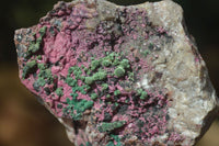 Natural Pink Salrose Cobaltion Dolomite Specimens x 6 From Kakanda, Congo - Toprock Gemstones and Minerals 