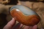 Polished Polychrome Jasper Standing Free Forms  x 3 From Madagascar - Toprock Gemstones and Minerals 