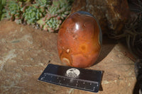 Polished Polychrome Jasper Standing Free Forms  x 3 From Madagascar - Toprock Gemstones and Minerals 