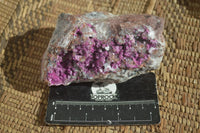 Natural Pink Salrose Cobaltion Dolomite Specimens x 6 From Kakanda, Congo - Toprock Gemstones and Minerals 