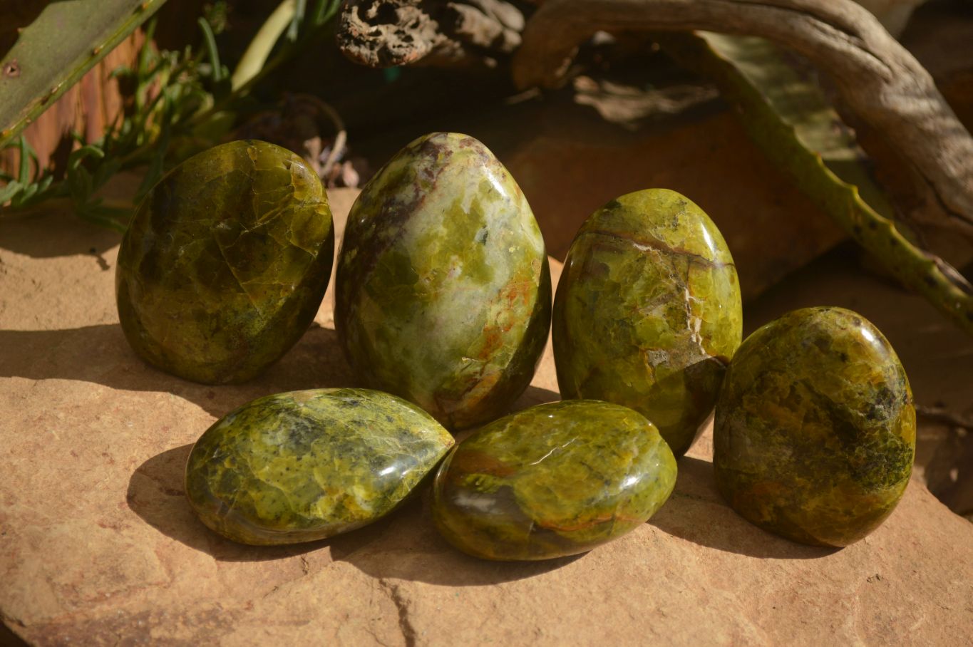 Polished  Green Opal Standing Free Forms  x 6 From Madagascar - Toprock Gemstones and Minerals 