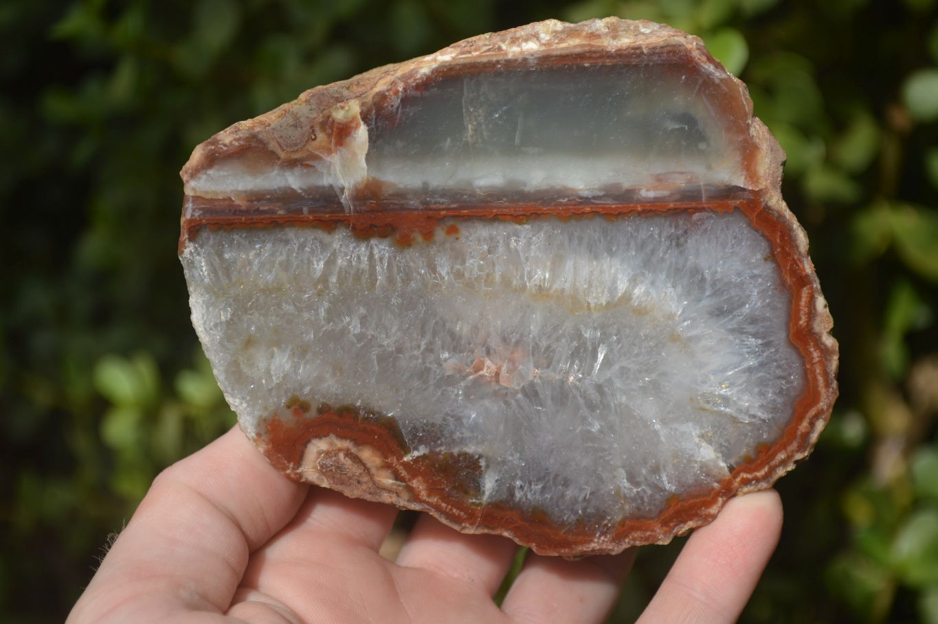 Polished One Side Polished Agate Free Forms  x 2 From Southern Africa - Toprock Gemstones and Minerals 