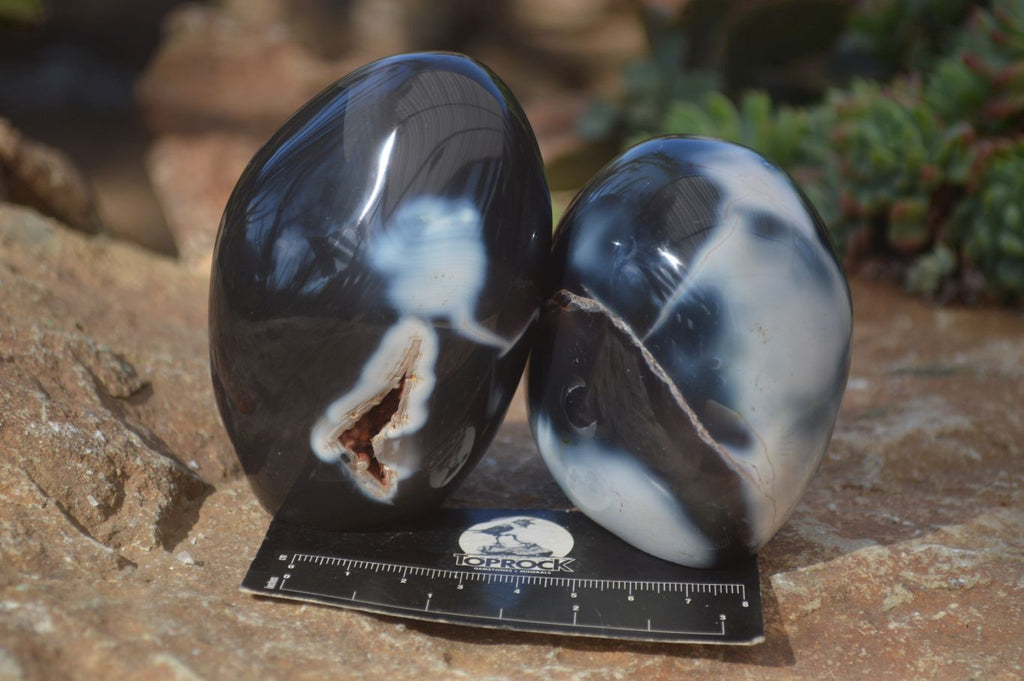 Polished Mixed Agate Standing Free Forms  x 6 From Madagascar - Toprock Gemstones and Minerals 
