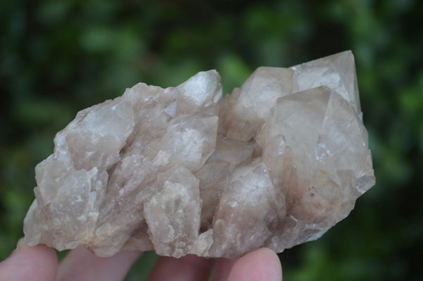 Natural Cascading White Phantom Smokey Quartz Clusters  x 6 From Luena, Congo - Toprock Gemstones and Minerals 