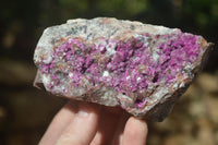 Natural Pink Salrose Cobaltion Dolomite Specimens x 6 From Kakanda, Congo - Toprock Gemstones and Minerals 