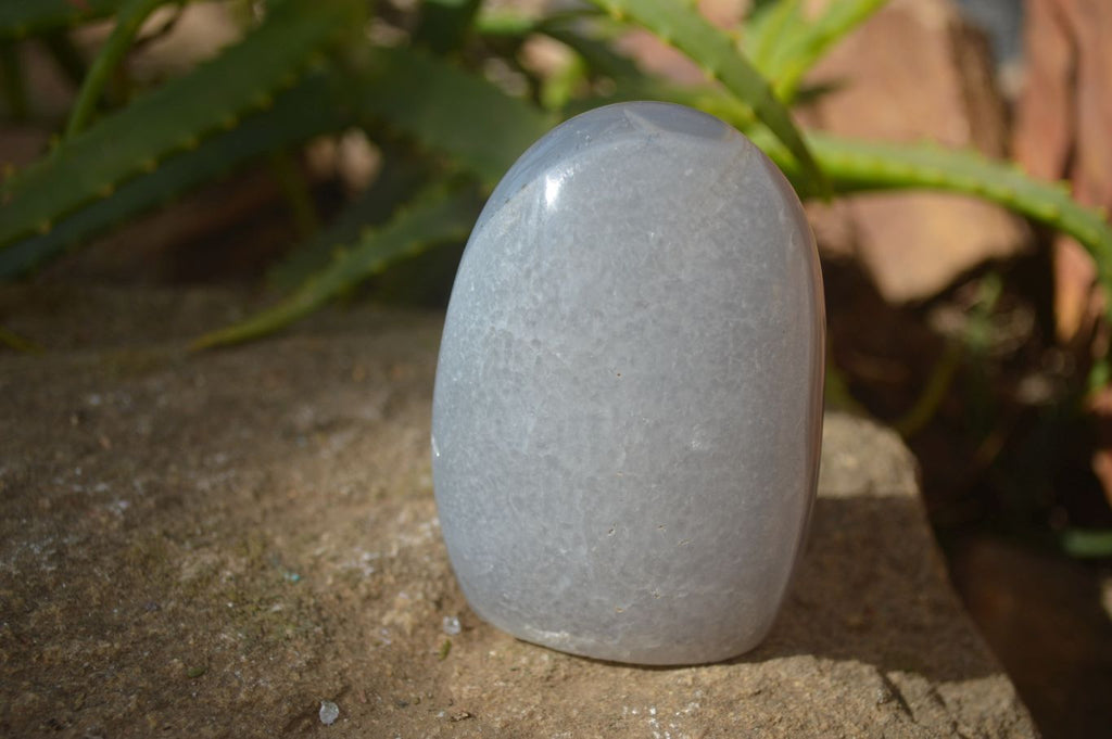 Polished Mixed Agate Standing Free Forms x 6 From West Coast, Madagascar - Toprock Gemstones and Minerals 