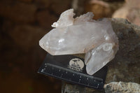 Natural Clear Quartz Crystal Specimens x 3 From Mpika, Zambia - Toprock Gemstones and Minerals 