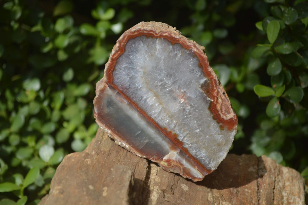 Polished One Side Polished Agate Free Forms  x 2 From Southern Africa - Toprock Gemstones and Minerals 
