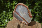 Polished One Side Polished Agate Free Forms  x 2 From Southern Africa - Toprock Gemstones and Minerals 
