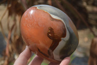 Polished Polychrome Jasper Standing Free Form  x 1 From Mahajanga, Madagascar - Toprock Gemstones and Minerals 