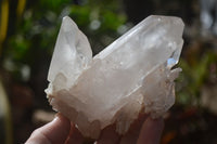 Natural Clear Quartz Crystal Specimens x 3 From Mpika, Zambia - Toprock Gemstones and Minerals 