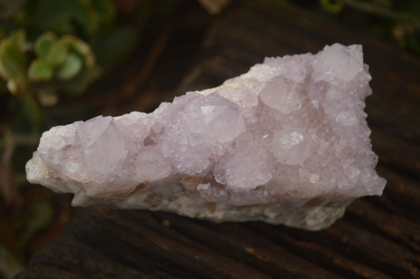 Natural Spirit Amethyst Quartz Clusters x 6 From Boekenhouthoek, South Africa - Toprock Gemstones and Minerals 