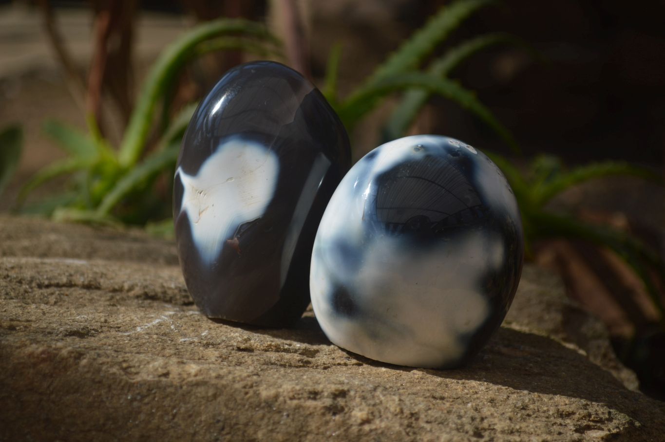 Polished Mixed Agate Standing Free Forms  x 6 From Madagascar - Toprock Gemstones and Minerals 