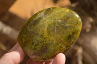 Polished  Green Opal Standing Free Forms  x 6 From Madagascar - Toprock Gemstones and Minerals 