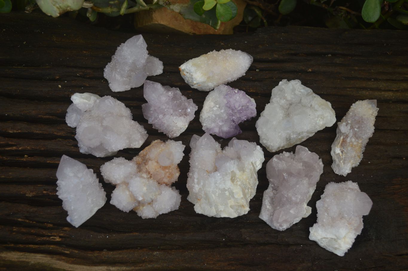 Natural Mixed Spirit Quartz Specimens x 12 From Boekenhouthoek, South Africa - Toprock Gemstones and Minerals 