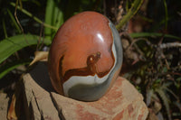 Polished Polychrome Jasper Standing Free Form  x 1 From Mahajanga, Madagascar - Toprock Gemstones and Minerals 