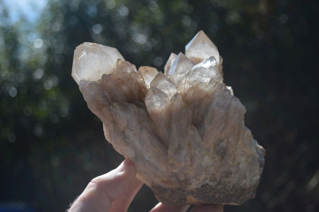 Natural Cascading White Phantom Smokey Quartz Cluster  x 1 From Congo - Toprock Gemstones and Minerals 